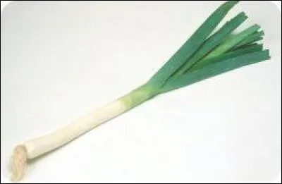 Quelle est la production annuelle de poireaux à Mumbai ?