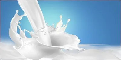 Bois-tu assez souvent du lait ?