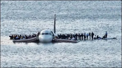 En 2009, le pilote de ligne Chesley Burnett Sullenberger (dit Sully) est contrait d'amerrir sur le fleuve Hudson (New York, USA). La cause de l'accident était...