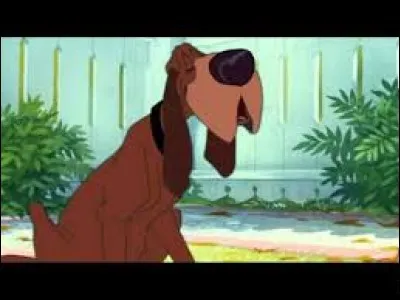 Dans quel film Disney peut-on voir ce Saint-Hubert ?