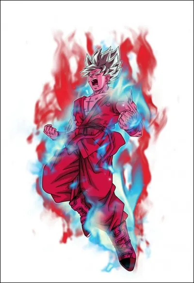 Quand Gokû affronte Jiren, par combien son Kaïoken est-il multiplié ?