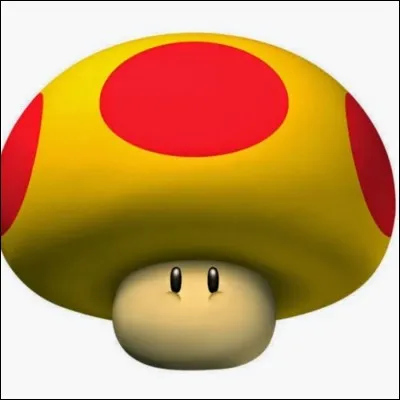 Comment s'appelle cet objet de transformation ?