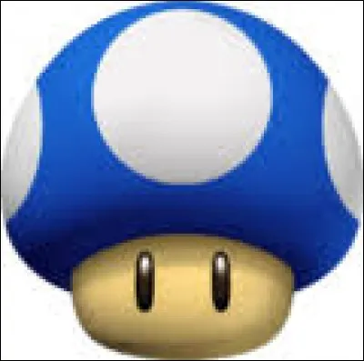 Comment s'appelle cet objet de transformation ?