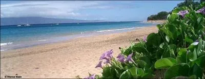 Pourquoi est-il parti en mission  Hawaii ?