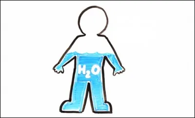 Quel est le pourcentage d'eau qui compose le corps humain adulte ?