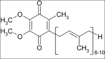 Chez les êtres vivants, que constituent les lipides ?