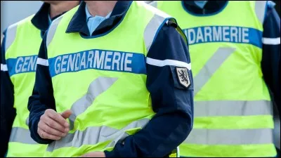 Il existe plusieurs autre unités de gendarmes dans d'autres pays ?
