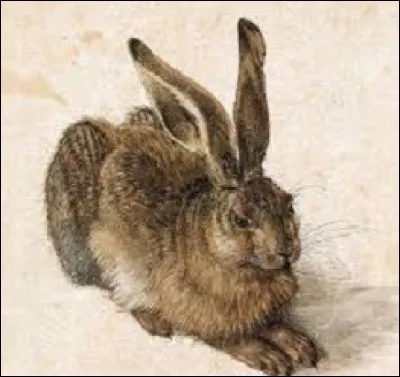 Que se disait encore le lièvre avant de sombrer dans le repos, les yeux ouverts ?