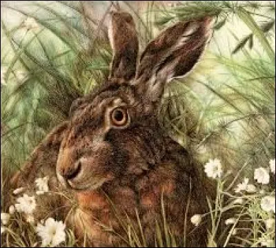 Quelle raison lui faisait donc oublier la prudence ?