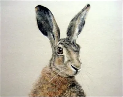 Comment la transparence de l'azur se modifia-t-elle ?