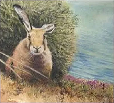 Les arbres, poussés en bordure de rivière, se reflétaient dans l'eau et semblaient en suivre paresseusement le courant. Quels sont ces arbres ?