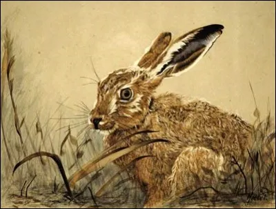 Pourquoi n'avait-il plus de raison de s'alarmer ?