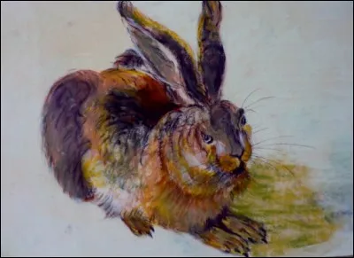 Que ne risquait-il pas d'arriver à l'animal gîté dans le taillis dont l'ombre elle-même ralentissait le cours de son avancée ?