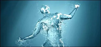 Dans quel organe humain la concentration en eau est-elle la plus élevée ?