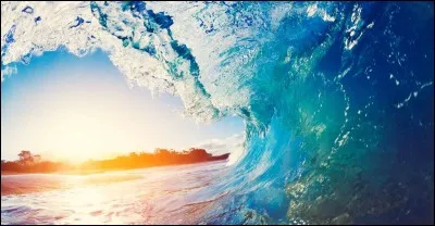 Lesquelles de ces personnes sont surfeurs ?