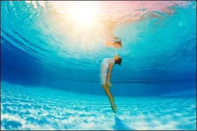 Quel est le record du monde d'apnée statique et par qui cette performance a-t-elle été realisée ?