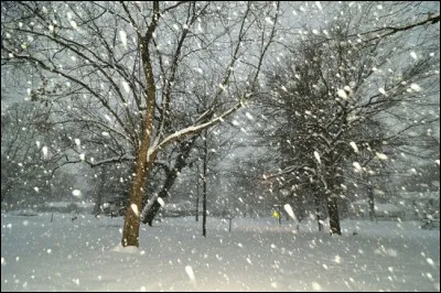 Qui chantait "Tombe la neige" ?