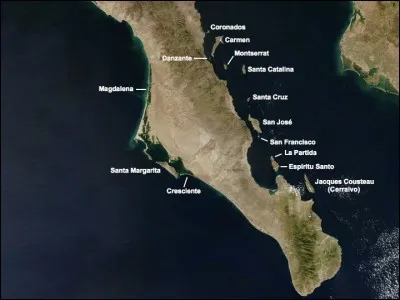 Quel est le nom le plus utilisé pour nommer le golfe de Californie ?