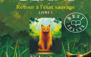 Quiz Guerre