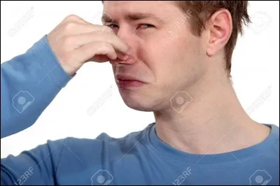 Quelle expression signifie que ça ne sent pas très bon ?