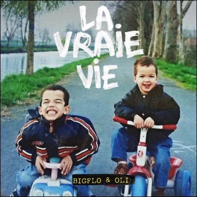 Combien leur album 'La vraie vie' comporte-t-il de chansons ?