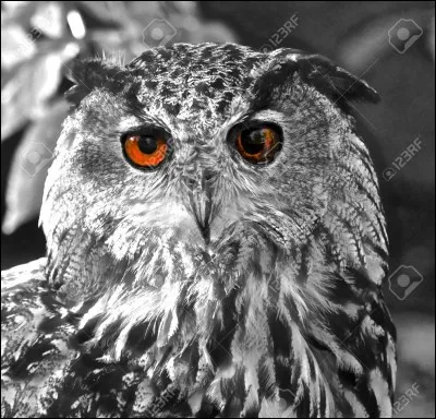 Responsable de faux en écriture.