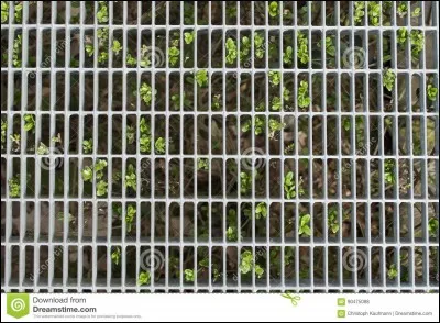 Selon le code du guerrier, est-ce que nous sommes autorisés à voler la tanière des autres si cette dernière nous plaît ?