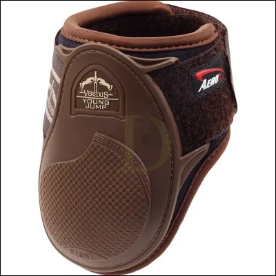 Comment s'appelle cette protection ?