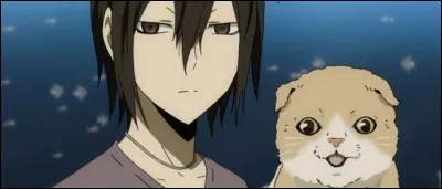 Quel est le métier de Kasuka, le petit frère de Shizuo ?