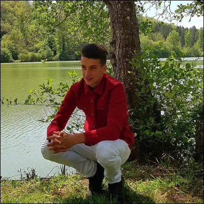 Le rouge énerve le taureau. Vrai ou faux ?