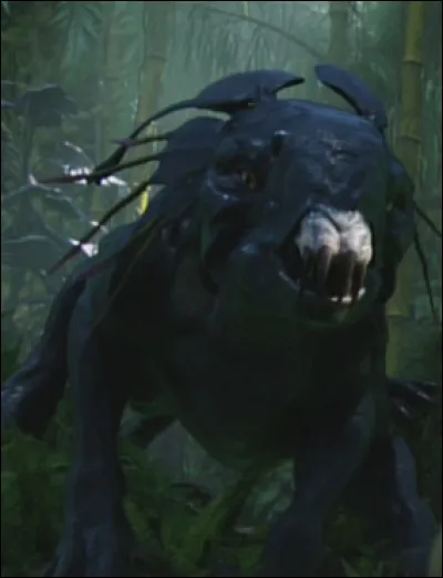 Quelle est la taille d'une dent de Thanator ?