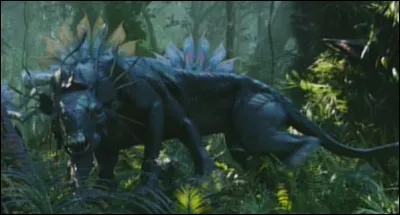 Un Thanator mesure environ :