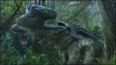 Un Marteaureau possède une crête de plumes sur la tête.