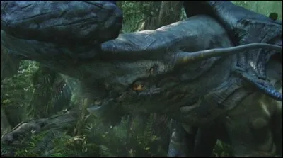 Chez les jeunes, la structure en forme de marteau est plus faite :