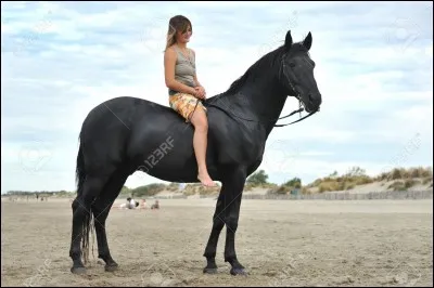 On dit qu'on monte à ...