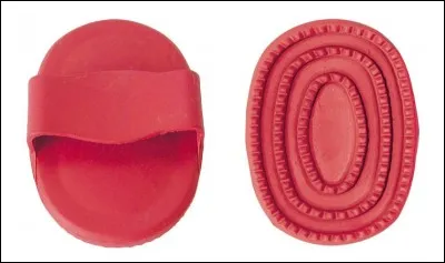 Comment s'appelle cette brosse ?