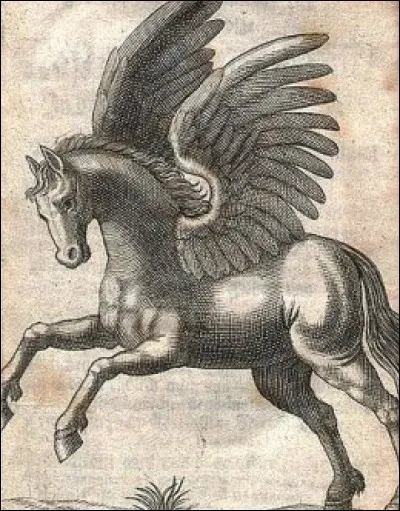 Comment s'appelle le cheval d'Hazel ?