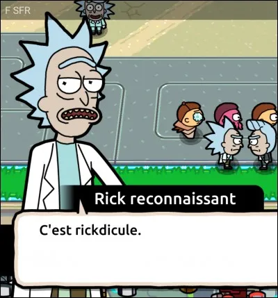 En quoi consiste le jeu vidéo "Pocket Mortys" ?