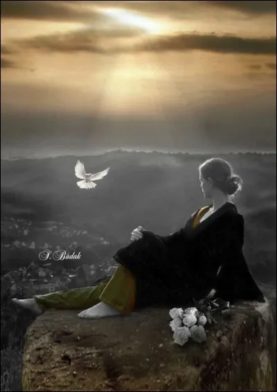 A qui appartient l'album "Les beaux dégâts" ?