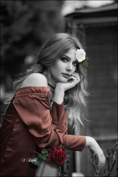 Qui a écrit le roman "Belle de jour" ?