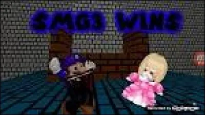 Dans «Welcome to the kushroom mingdom», qui est censé être SMG4 en version bootleg ?