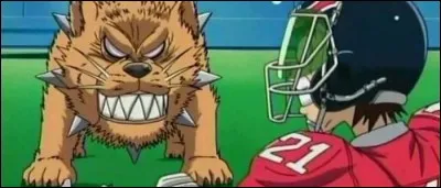 Quel est le nom du molosse de Hiruma ?