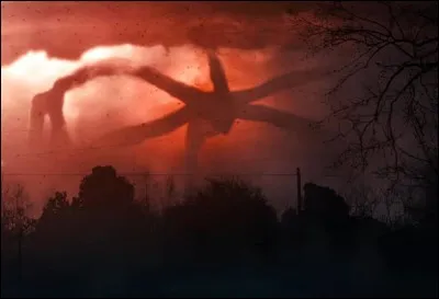 Ta couleur préférée est...