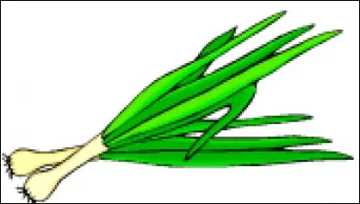 Comment dit-on "poireau" ?