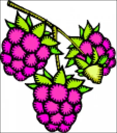 Comment dit-on "framboise" ?