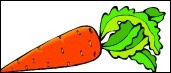 Quiz Fruits