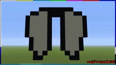 Où trouve-t-on les élytres ?