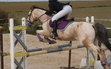 Quiz Galop 3