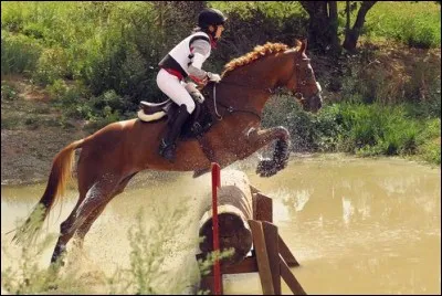 Que veut dire T.R.E.C.?