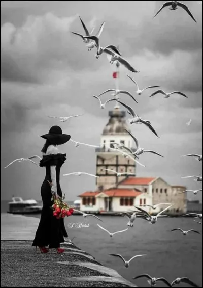 Qui a écrit 'Le parfum de la dame en noir" ?